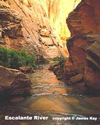 Uintah Preservation 